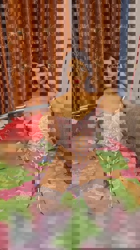 SanelNeu1 - +491772071579, +49177-2071579, 0177-2071579