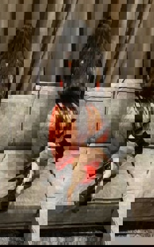 ELLA1152175 - +4915217538583, +491521-7538583, 01521-7538583