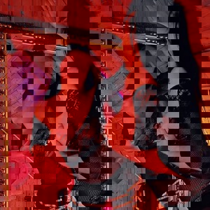 תמונת הפרופיל