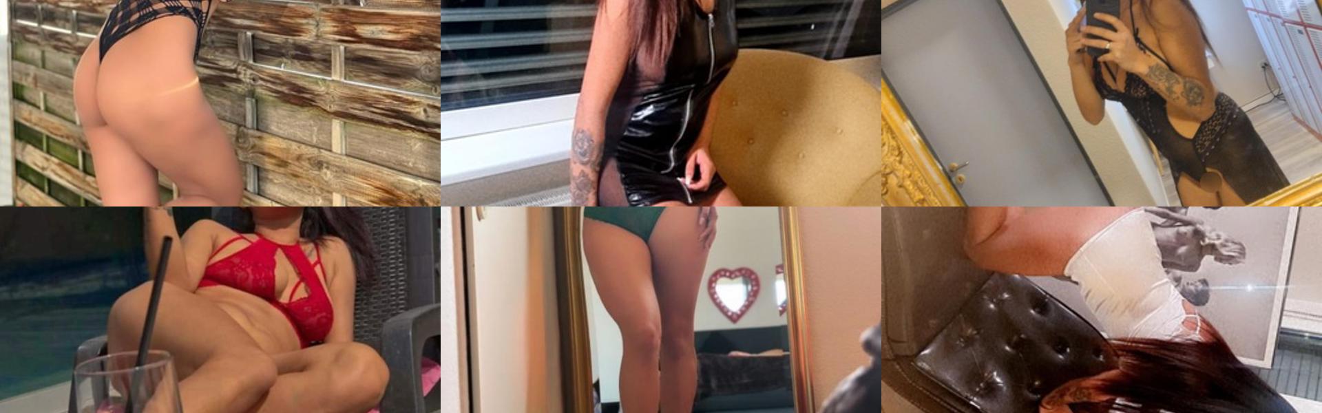 ภาพส่วนหัวโปรไฟล์