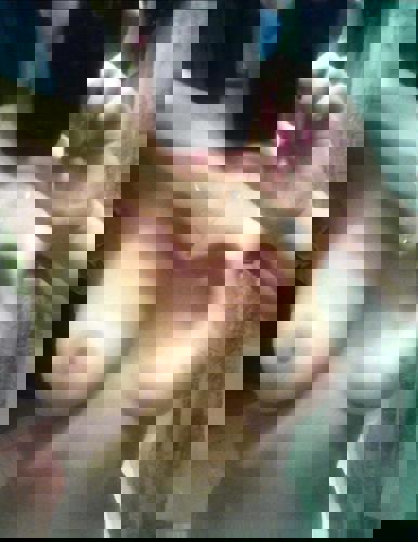 ANNA7756 - +33756939465, +337-56 93 94 65, 07-56-93-94-65