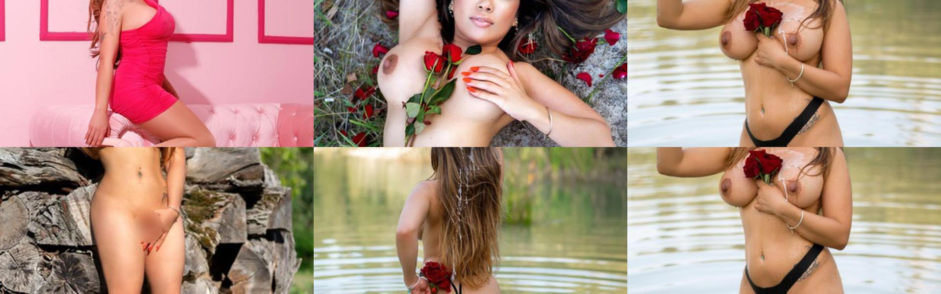 Imagem do cabeçalho do perfil