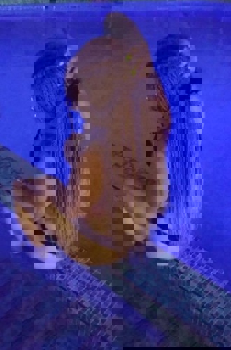 Melisa15 - +4915210576920, +491521-0576920, 01521-0576920