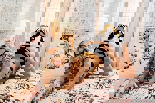 Emma1157726 - +4915772601067, +491577-2601067, 01577-2601067