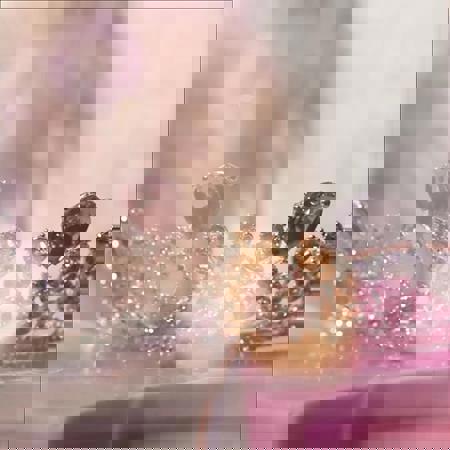 TSSolParisXL1 - +4917663193224, +49176-63193224, 0176-63193224