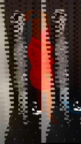 LillaBrandneu15 - +4915214408390, +491521-4408390, 01521-4408390