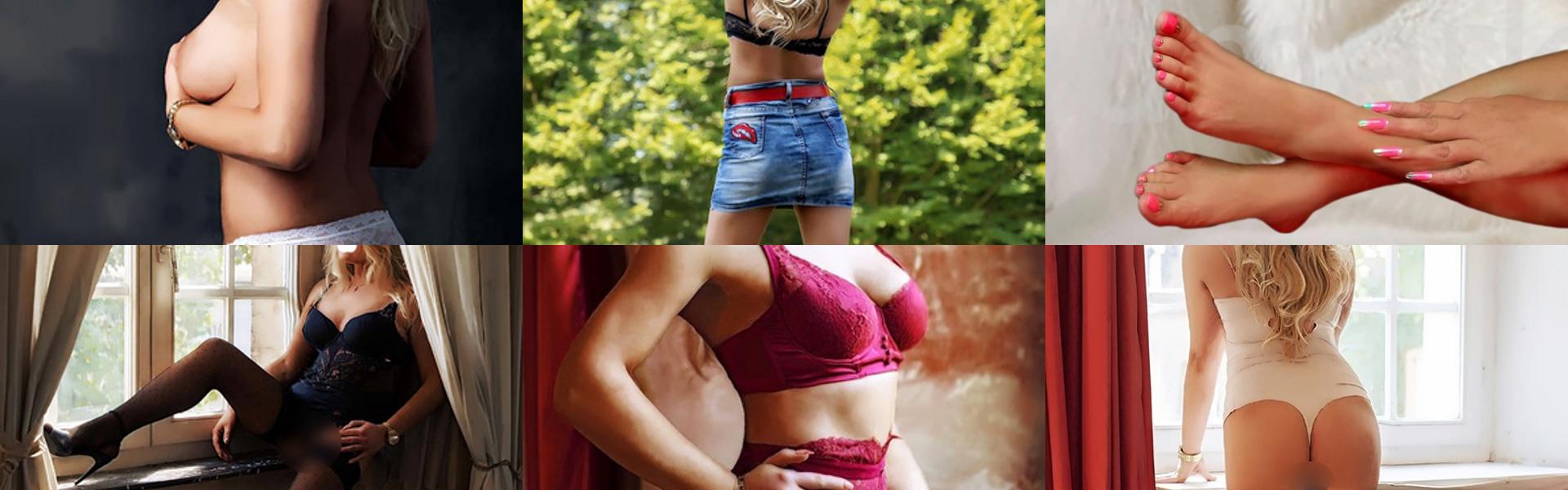 Zaglavna slika profila