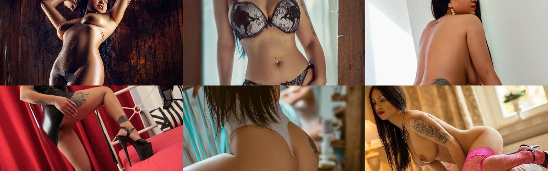 Imagen de encabezado del perfil