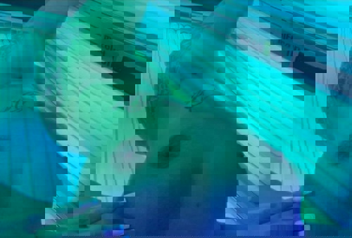 ELIFNURAUTODATES - +4917612460941, +49176-12460941, 0176-12460941