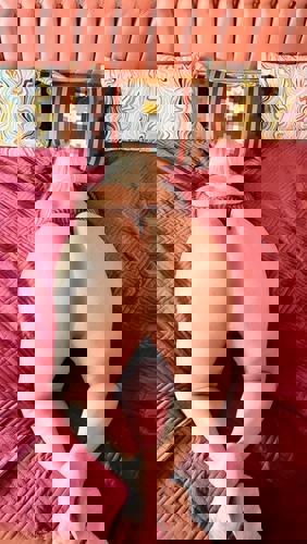 EllyBrasil - +4917631502406, +49176-31502406, 0176-31502406