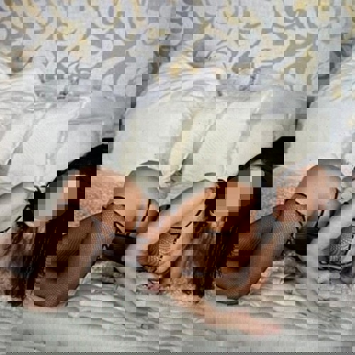 KarlaHot - +491706753182, +49170-6753182, 0170-6753182