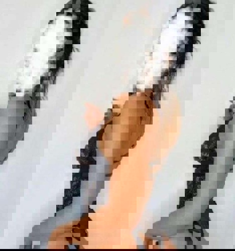 Nicole157 - +4915731605038, +491573-1605038, 01573-1605038