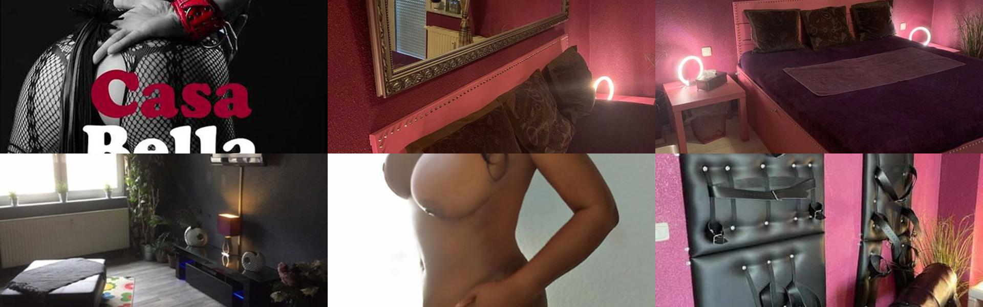 Image d'en-tête du profil