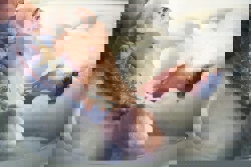 LillyDeutschland - +4915123831037, +491512-3831037, 01512-3831037