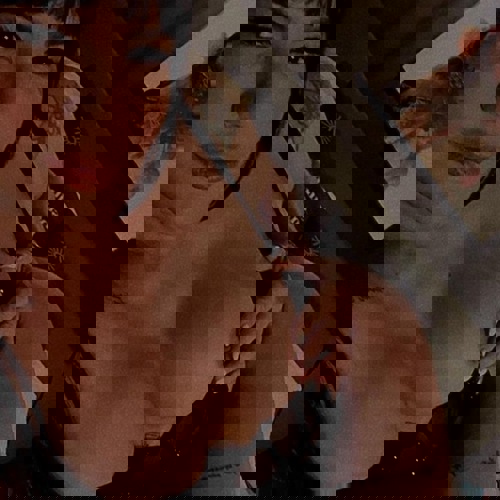 Gabriela5 - +495511962576775, +49551-1962576775, 0551-1962576775