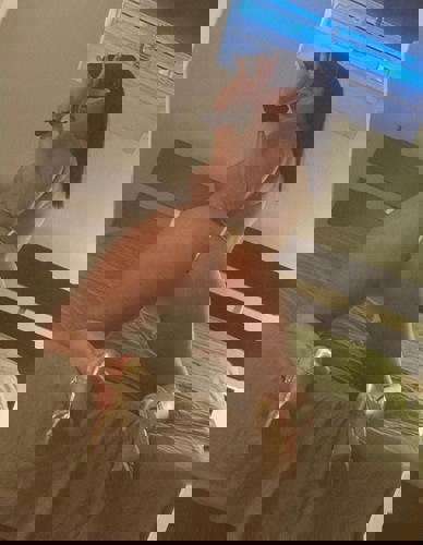 Aaliyah17 - +491787578944, +49178-7578944, 0178-7578944