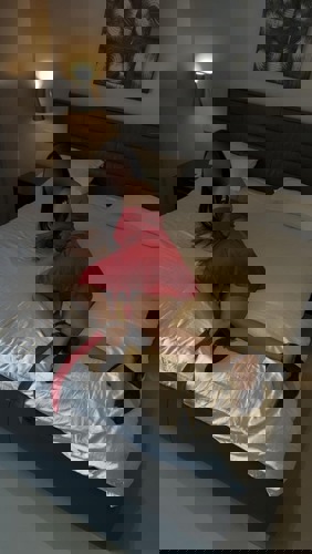 AnaHausundHotelbesuche155 - +4915511430187, +4915511-430187, 015511-430187