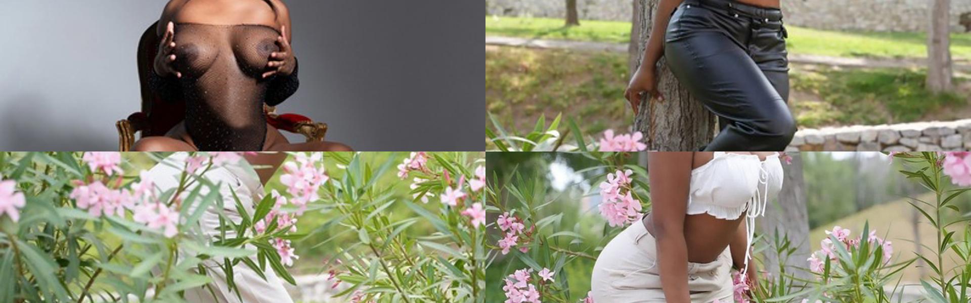 Ảnh tiêu đề hồ sơ