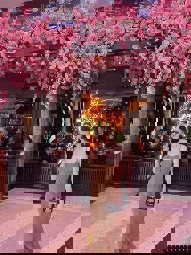 Aria44 - +14809183818, +1480-918-3818, (480)-918-3818