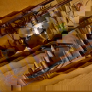 תמונת הפרופיל