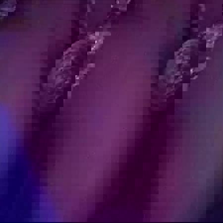 PamelaausPolenNEUENUMMER - +4915214300493, +491521-4300493, 01521-4300493