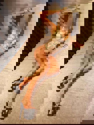 Evelin1637 - +491637217874, +49163-7217874, 0163-7217874