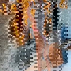 ภาพโปรไฟล์