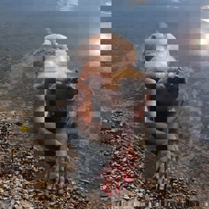 Immagine del profilo
