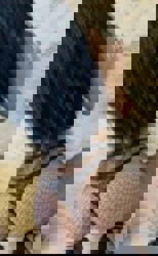 Delia15511 - +4915511342733, +4915511-342733, 015511-342733