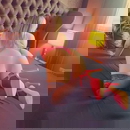 תמונת הפרופיל