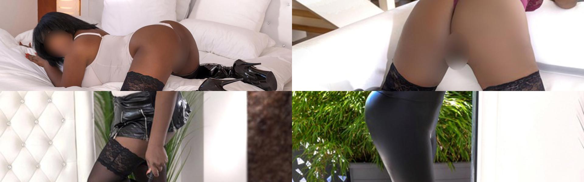 Profiloverskriftbilde