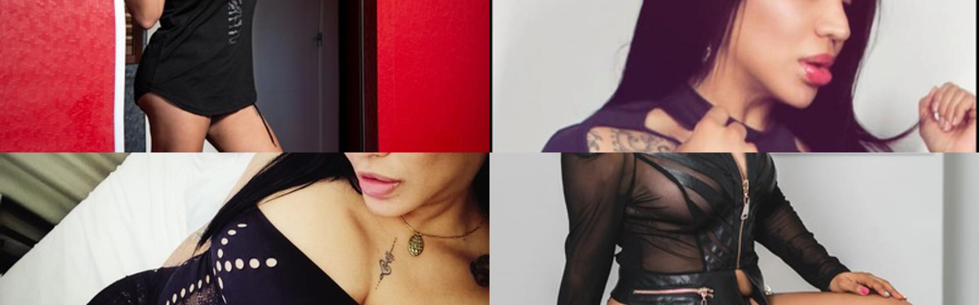 תמונת כותרת הפרופיל