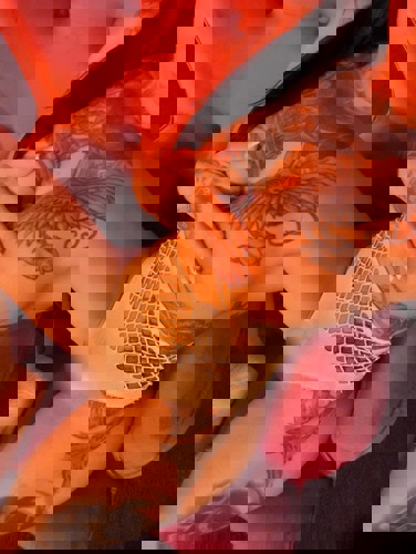 PoliausPolenneueTelefonnummer - +4915224266532, +491522-4266532, 01522-4266532