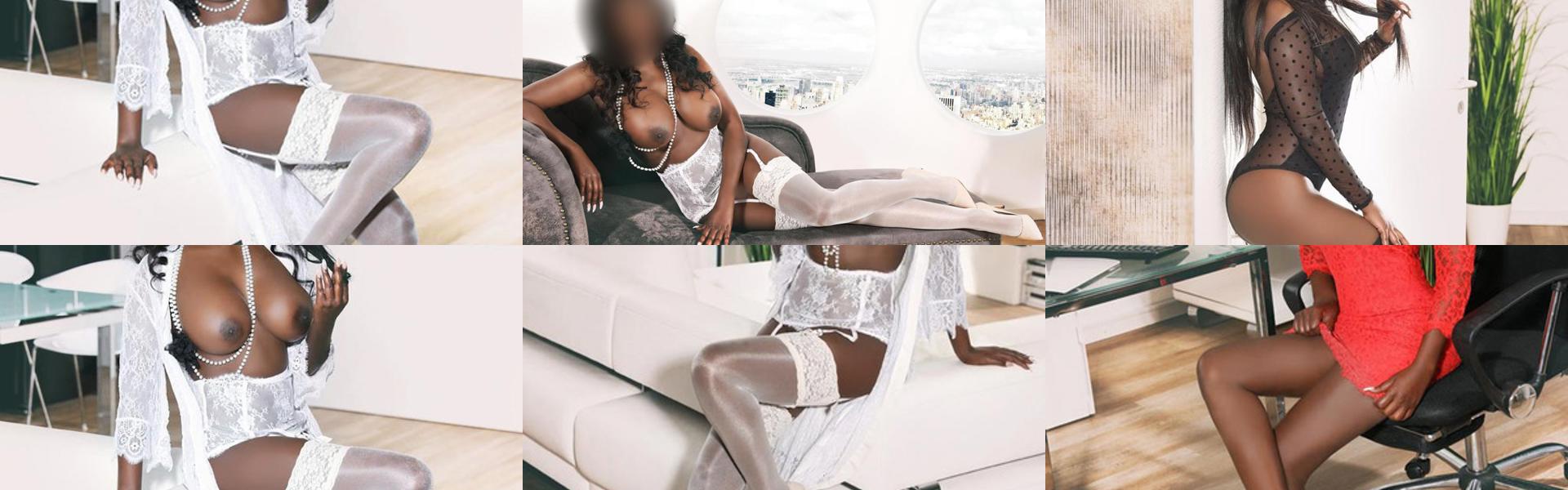 Ảnh tiêu đề hồ sơ