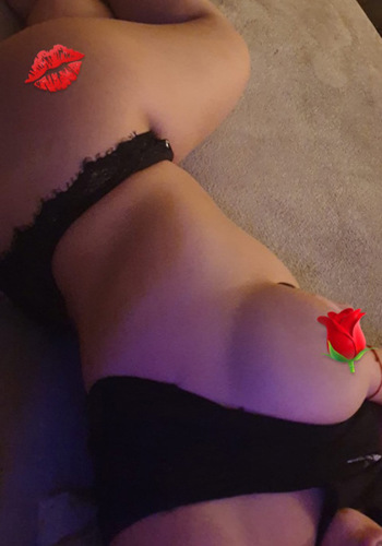 SARAHausRose - +495121134000, +495121-134000, 05121-134000